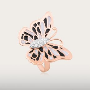 BRAZILIAN RING SERIES