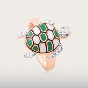 BRAZILIAN RING SERIES