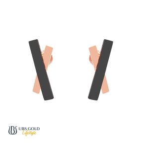 UBS Anting Emas - Hsw0434 - 17K